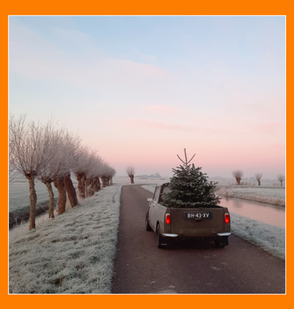 Winterfoto kerstkaart 2024 Mini Seven Club Nederland